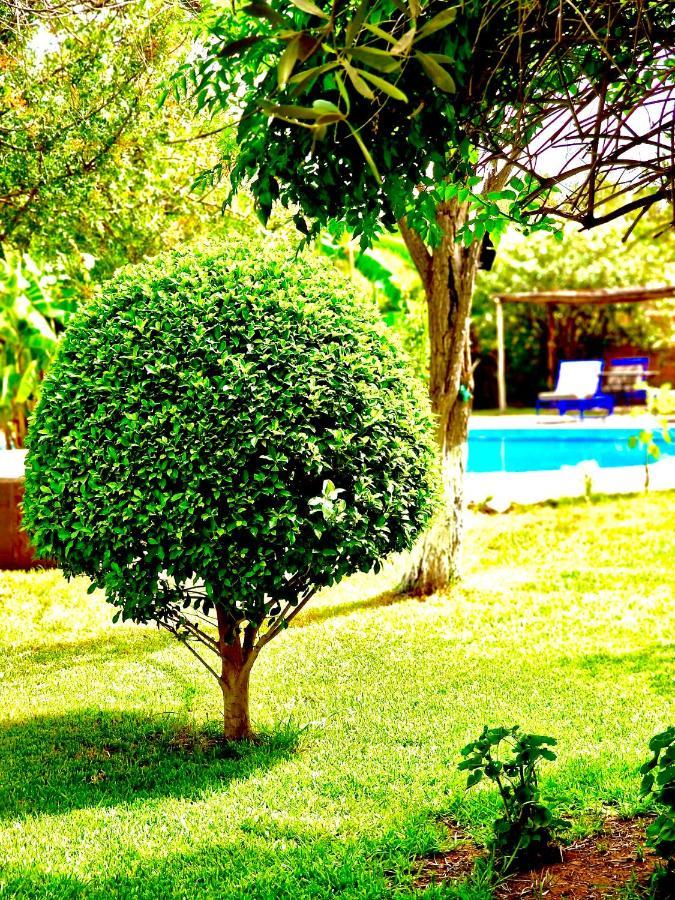 Bed and Breakfast Le Domaine De Carole Marrakech Douar Akkara Exteriér fotografie