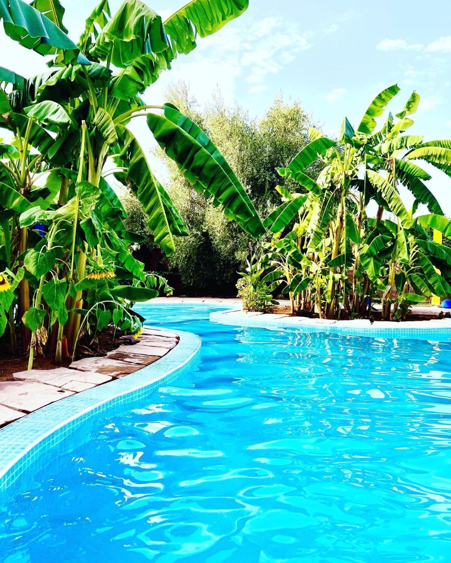 Bed and Breakfast Le Domaine De Carole Marrakech Douar Akkara Exteriér fotografie