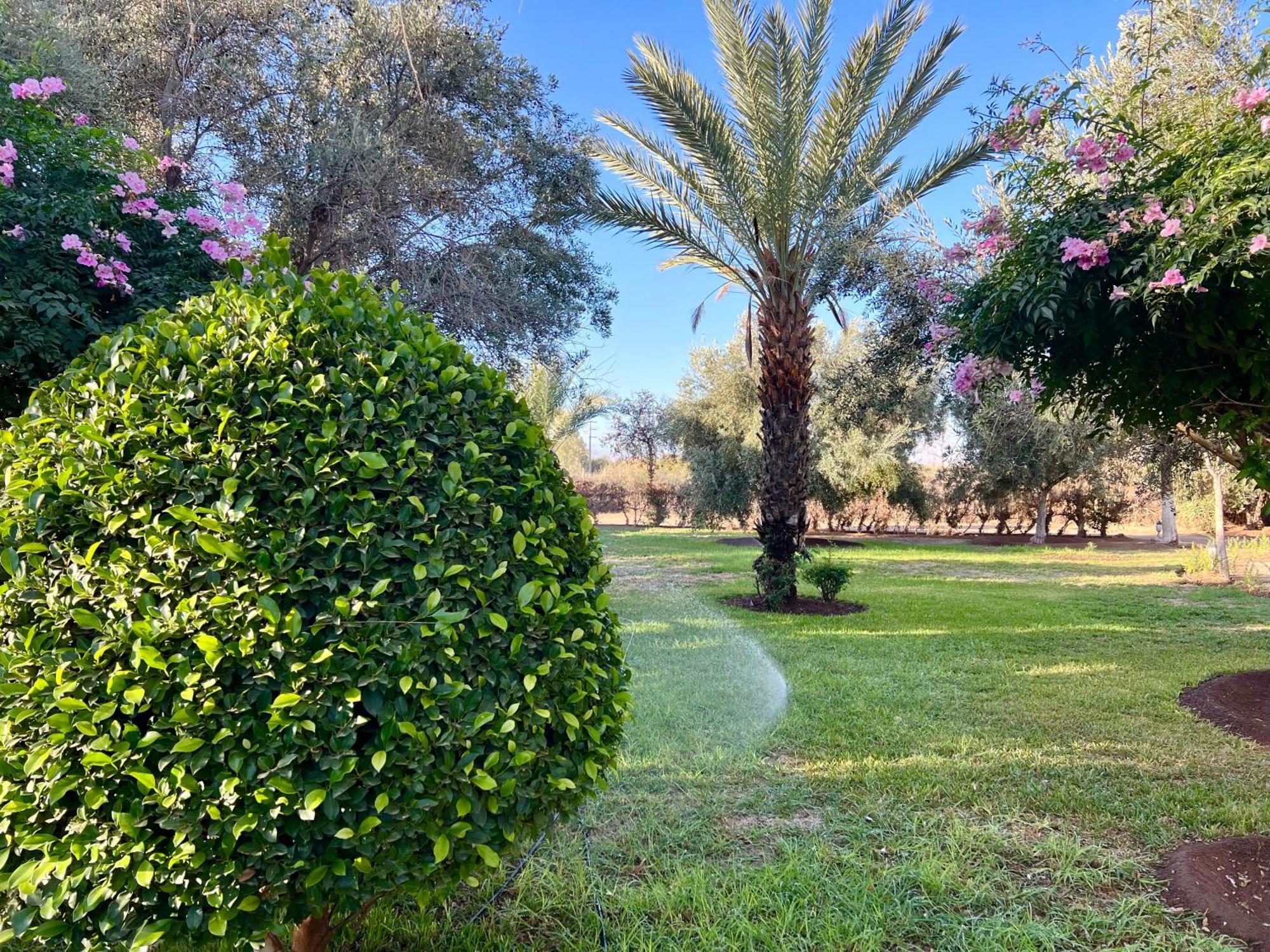 Bed and Breakfast Le Domaine De Carole Marrakech Douar Akkara Exteriér fotografie