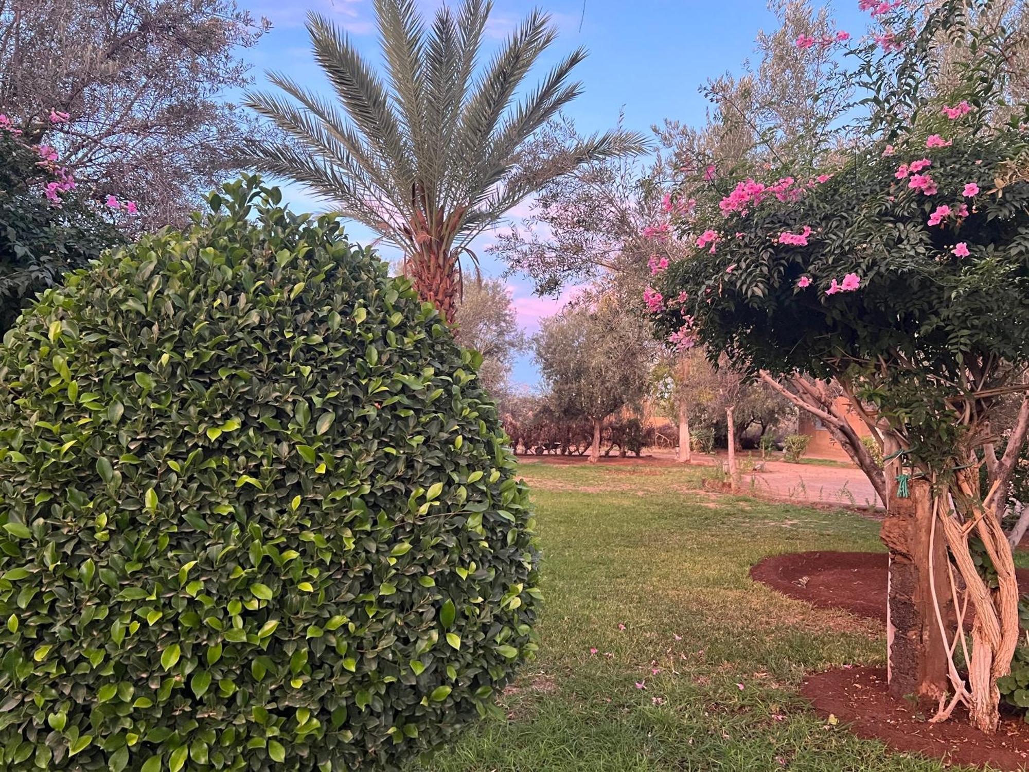 Bed and Breakfast Le Domaine De Carole Marrakech Douar Akkara Exteriér fotografie