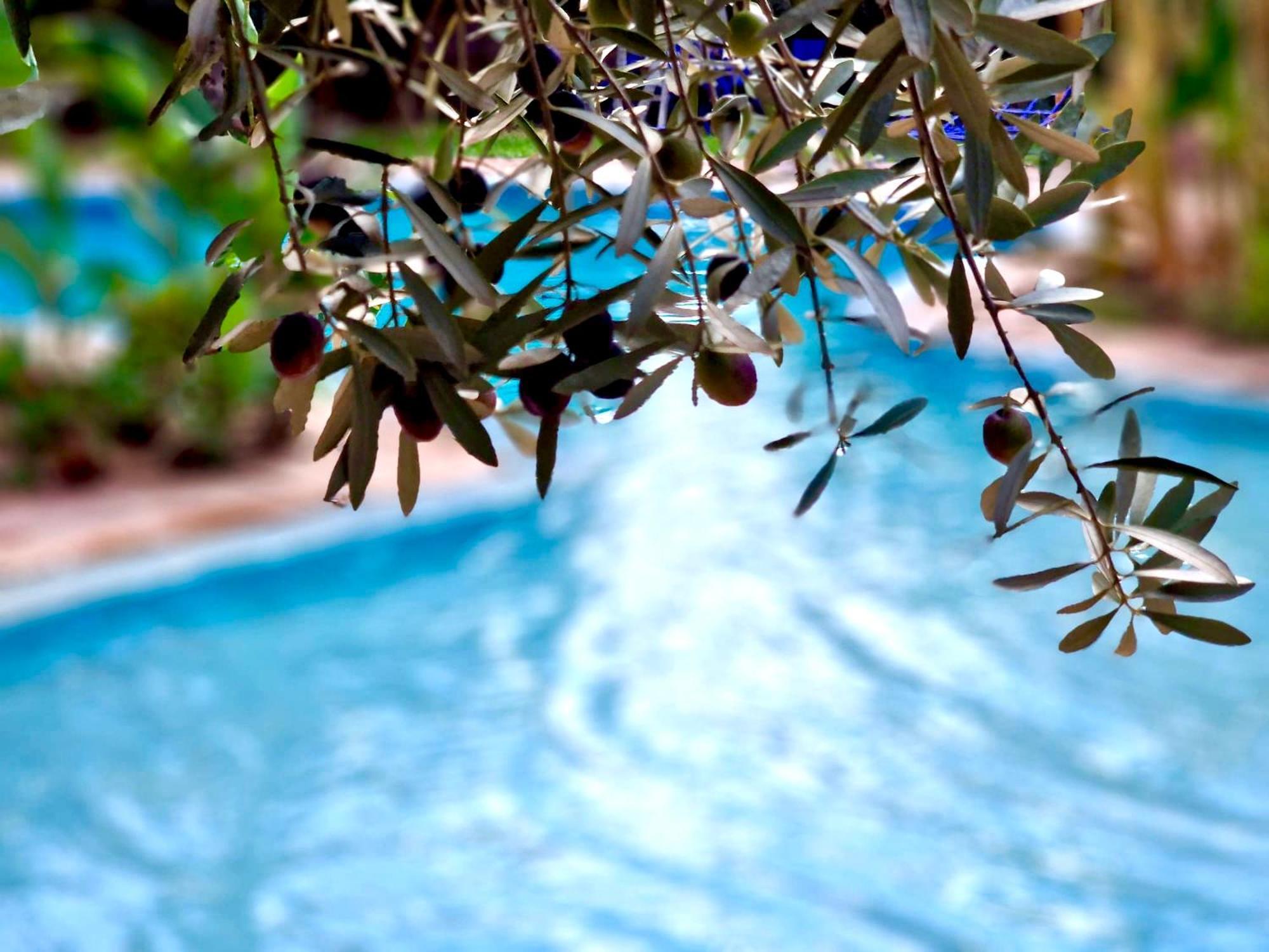 Bed and Breakfast Le Domaine De Carole Marrakech Douar Akkara Exteriér fotografie